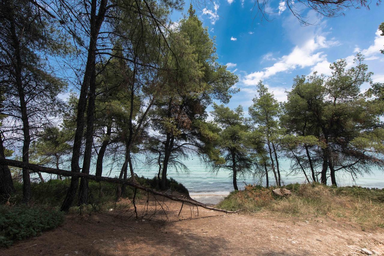 #Luxlikehome - Kriopigi Pines By The Sea المظهر الخارجي الصورة